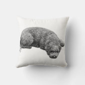 ハーベスト夕べ落ち着き クッション (裏面)