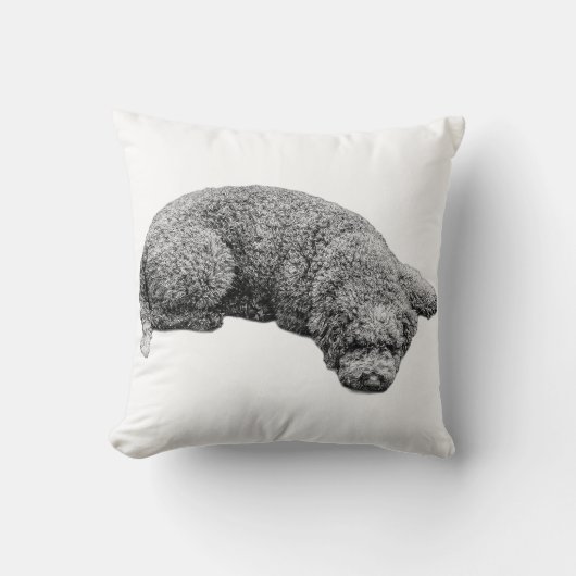 ハーベスト夕べ落ち着き クッション (正面)