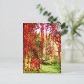 ハーベスト ポストカード (スタンド正面)