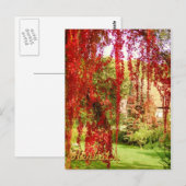 ハーベスト ポストカード (正面/裏面)