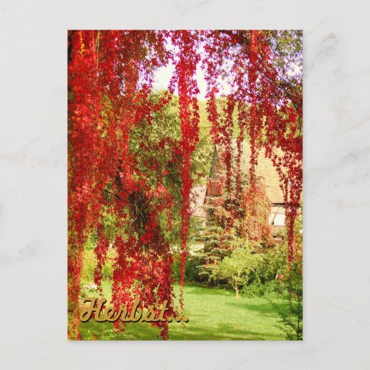 ハーベスト ポストカード (正面)