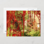 ハーベスト ポストカード (正面/裏面)