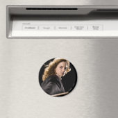 ハーマイオニーのグレンジャーは行動に出る準備ができている マグネット (インサイチュ (食洗機))