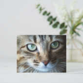 ハーマイオニー近く ポストカード (スタンド正面)