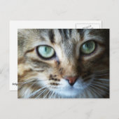 ハーマイオニー近く ポストカード (正面/裏面)