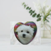 ハーマーズ・ザ・マルチーズ ポストカード (スタンド正面)