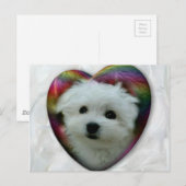 ハーマーズ・ザ・マルチーズ ポストカード (正面/裏面)