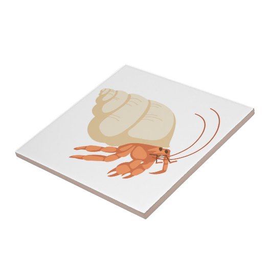 ハーミットカニ タイル (側面)