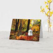 ハーメス ザ マルチーズ カード (黄色い花)