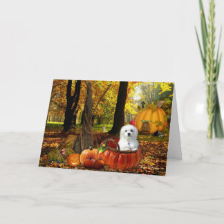 ハーメス ザ マルチーズ カード