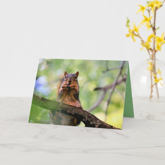 ハーモニカリス カード (黄色い花)