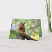 ハーモニカリス カード (正面)