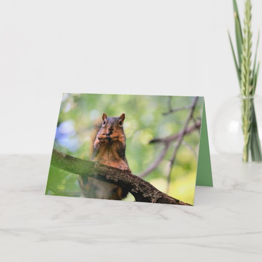 ハーモニカリス カード (正面)