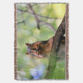 ハーモニカリス スローブランケット (正面縦)