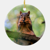 ハーモニカリス セラミックオーナメント (裏面)