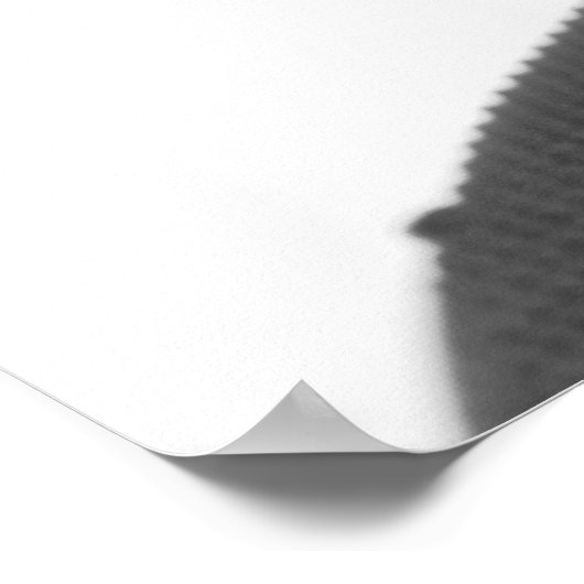 ハーモニカ ポスター (角)