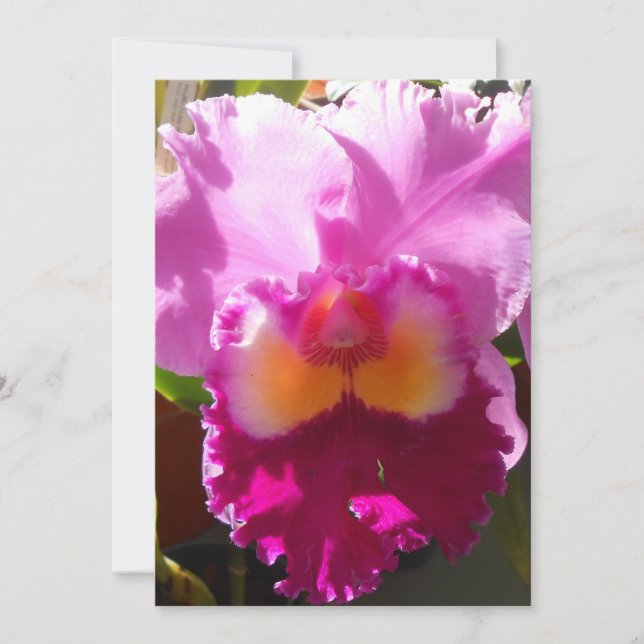 ハーリンデ (正面)