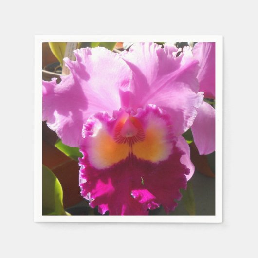 ハーリンデ スタンダードカクテルナプキン (正面)