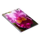 ハーリンデ ノートブック (右側)