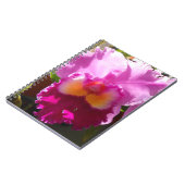 ハーリンデ ノートブック (左側)