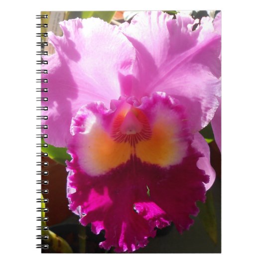 ハーリンデ ノートブック (正面)