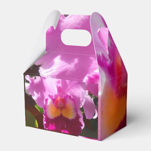 ハーリンデ フェイバーボックス (裏面サイド)