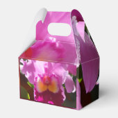 ハーリンデ フェイバーボックス (正面サイド)