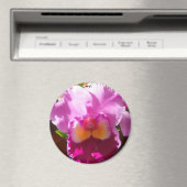 ハーリンデ マグネット (インサイチュ (食洗機))