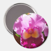 ハーリンデ マグネット (正面/裏面)