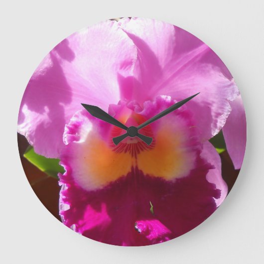 ハーリンデ ラージ壁時計 (正面)