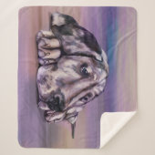 ハーレキングレートデーンワンピー シェルパブランケット (正面)