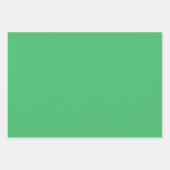 ハーレキ飲ン ラッピングペーパーシート (正面3)