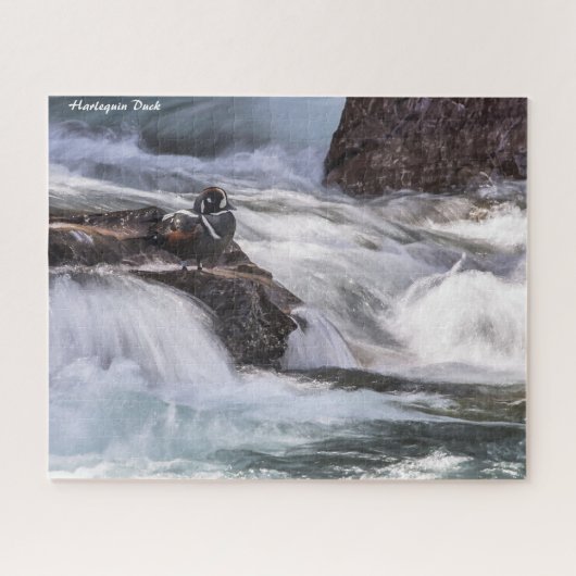 ハーレクインアヒル ジグソーパズル (横)
