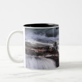 ハーレクインアヒル ツートーンマグカップ (左)