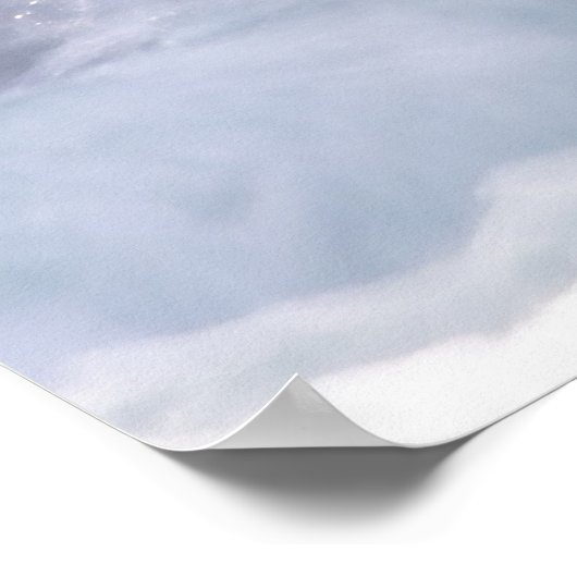 ハーレクインアヒル ポスター (角)