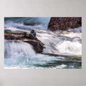 ハーレクインアヒル ポスター (正面)