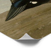 ハーレクインアヒル ポスター (角)