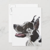 ハーレクイングレート・ダン ポストカード (正面/裏面)