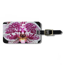 ハーレクインパレノプシオーキッドフローラ