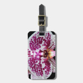 ハーレクインパレノプシオーキッドフローラ ラゲッジタグ (正面縦)