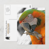 ハーレクインマコー足はがき ポストカード (正面/裏面)