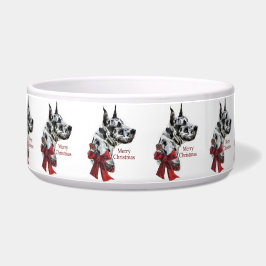 ハーレクイン大聖クリスマス ボウル