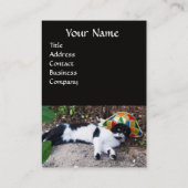 ハーレクイン帽と仮装パーティーマスク付き猫 名刺 (裏面)