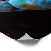 ハーレクイン・エビHymenocera picta ポスター (角)