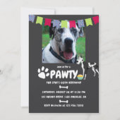 ハーレクイン・グレートデーンの誕生日フォト招待状 招待状 (正面)