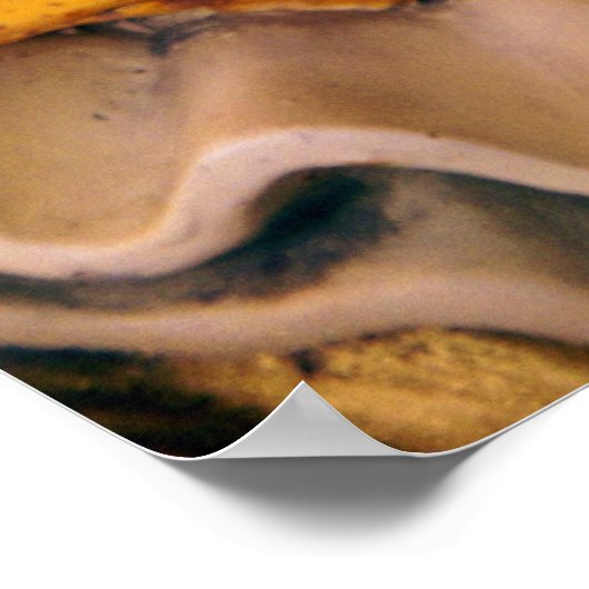 ハーレクイン ポスター (角)