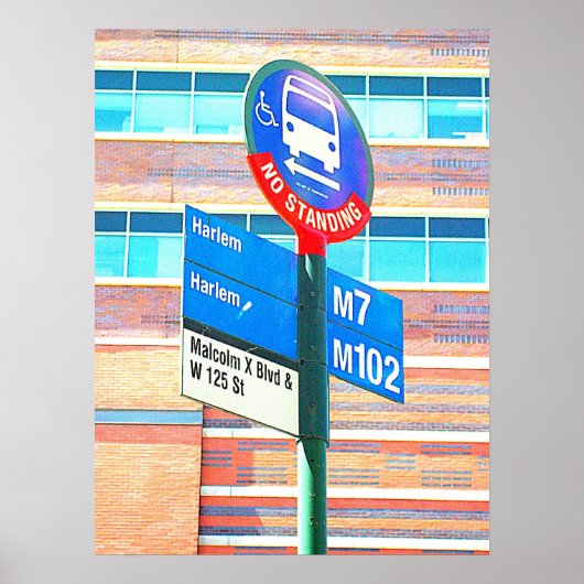 ハーレムバストップス ポスター (正面)