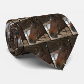 ハーレーのタイ ネクタイ (ロール)