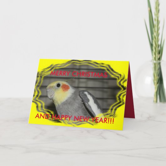 ハーレーのCockatielのクリスマスカード シーズンカード (正面)