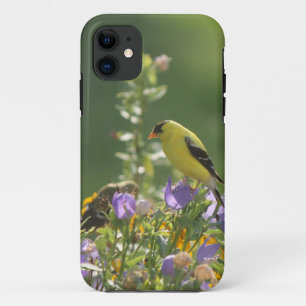 ハーレーベルに止まるアカハラゴマダラ iPhone 11 ケース